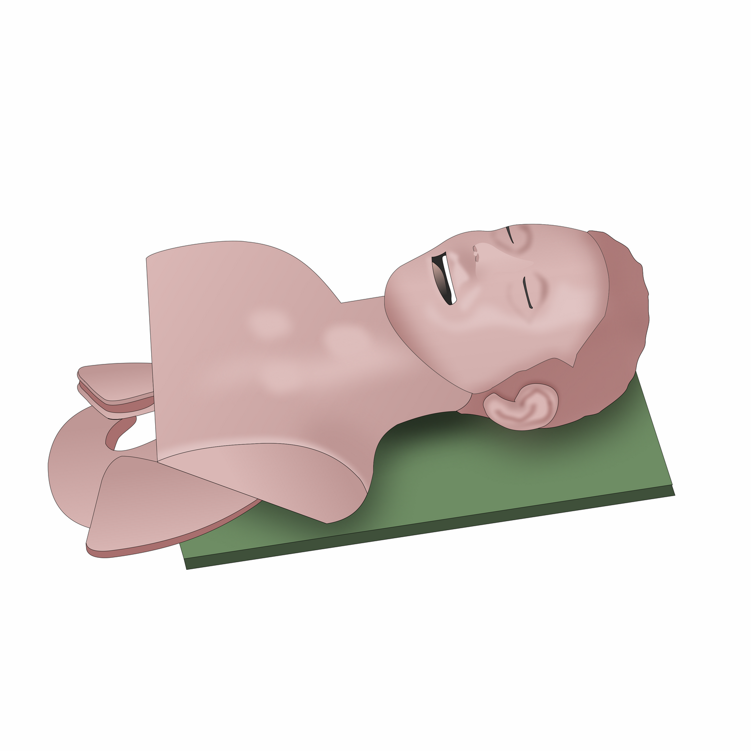 CPR Training Manikin