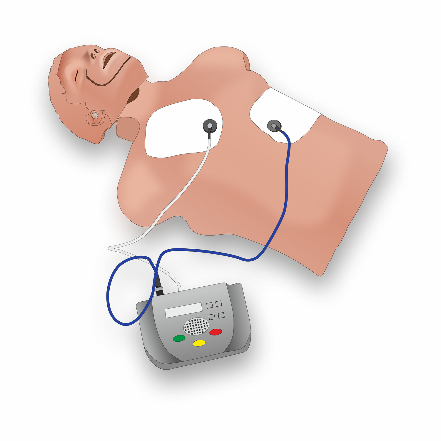 CPR & AED Manikins Simulators