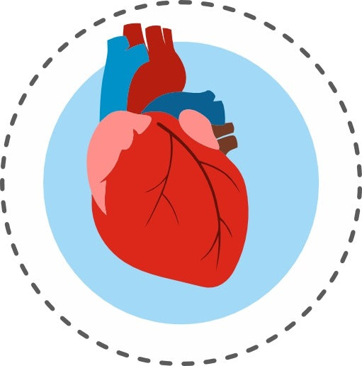 Cardiac Instrument