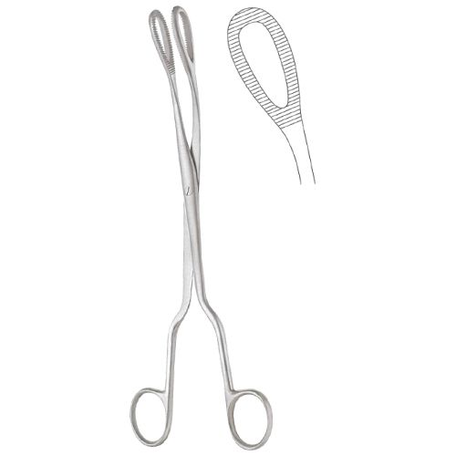 McClintock ovum forceps - curved 24cm