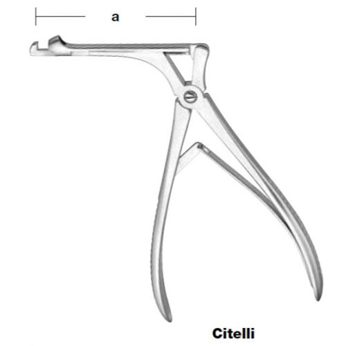 Citelli mastoid rongeurs