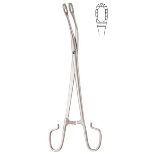 Blohmke tonsil seizing forceps - 21cm