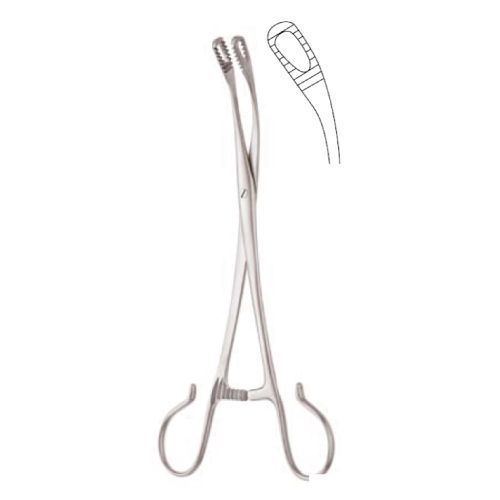 Abraham tonsil seizing forceps 20.5cm