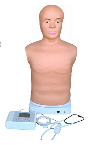 Adult Auscultation Manikin