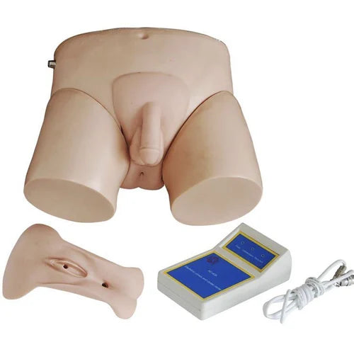 Catheterization Simulator Model