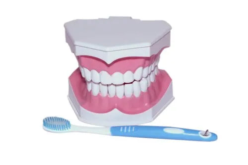 KKI-Dental Care Model