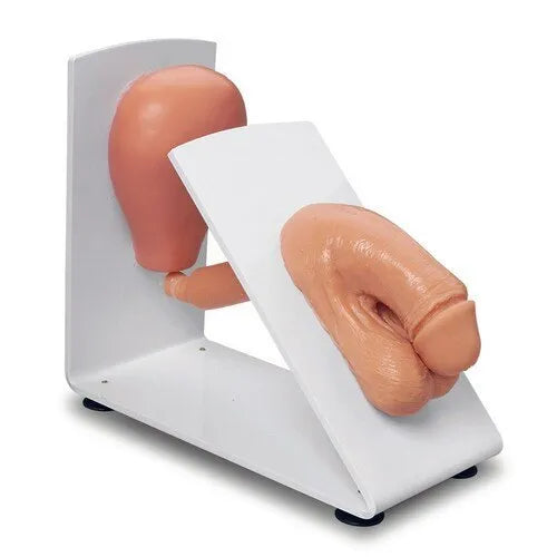 KKI-28E Dressed Male Catheterization Model (Small)