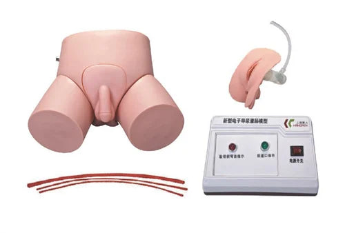 Electronic Urethral Catheterization and Enema Model