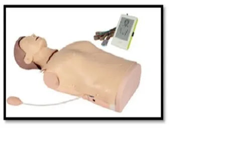 Advanced Half Body CPR Manikin