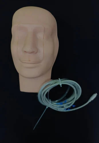 KKI-LV17 Advanced Nasal Hemorrhage Simulator