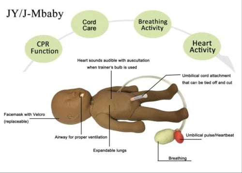 New Born Resuscitation Baby Simulator